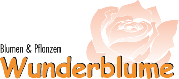 Wunderblume GmbH